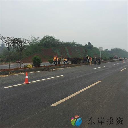 岷东大道东坡段5.8公里道路隔离带绿化工程(图7) 岷东大道东坡段5.8公里道路隔离带绿化工程(图7)