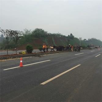 岷东大道东坡段5.8公里道路隔离带绿化工程(图4) 岷东大道东坡段5.8公里道路隔离带绿化工程(图4)