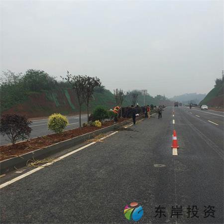 岷东大道东坡段5.8公里道路隔离带绿化工程(图1) 岷东大道东坡段5.8公里道路隔离带绿化工程(图1)