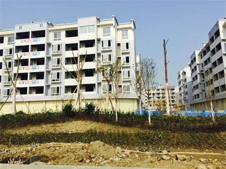 遂资眉高速路出口绿化工程(图4)