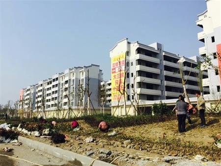 遂资眉高速路出口绿化工程(图5)