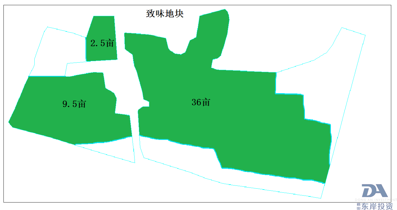 土地出租公告(图3)